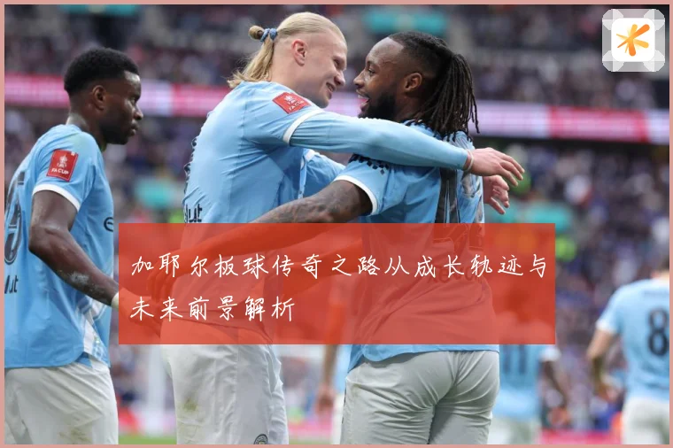 加耶尔板球传奇之路从成长轨迹与未来前景解析