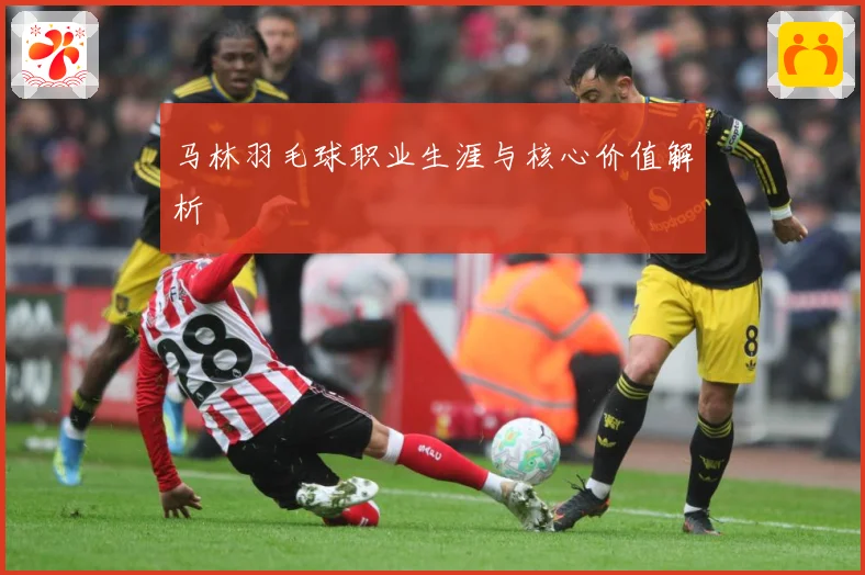 马林羽毛球职业生涯与核心价值解析