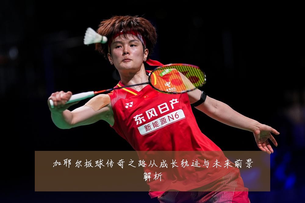 加耶尔板球传奇之路从成长轨迹与未来前景解析
