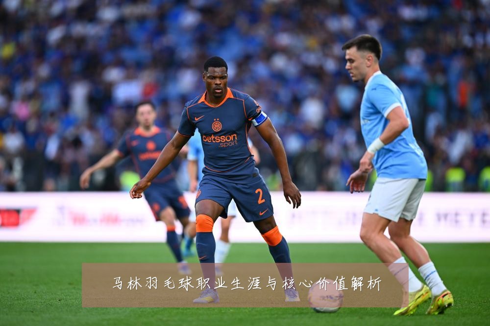 马林羽毛球职业生涯与核心价值解析